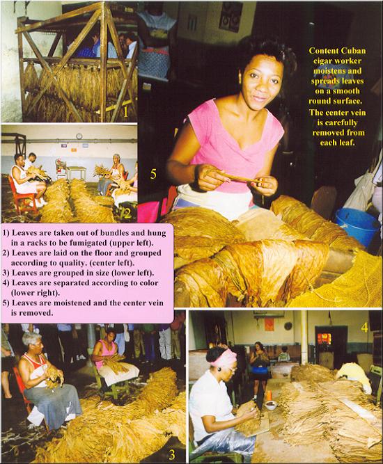 06b Inside Cigar Factories, Part I