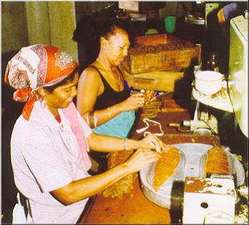 07b Machine Made Cigars