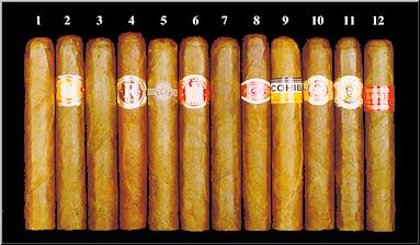 Rating Cuban Robusto Cigars 09b Rating Cuban Robusto Cigars