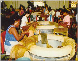 Inside Cigar Factories Part 2 s9906b Inside Cigar Factories Part 2